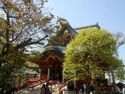 あけぼの山農業公園13