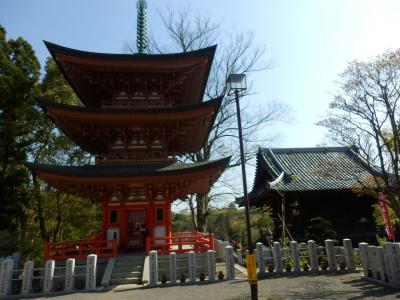 あけぼの山農業公園14
