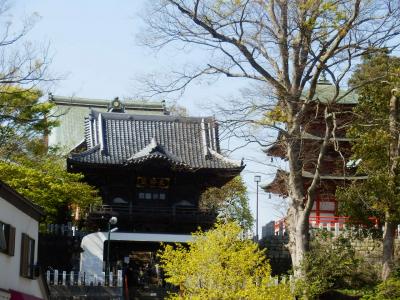 あけぼの山農業公園17