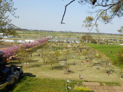 あけぼの山農業公園18