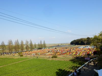 あけぼの山農業公園19