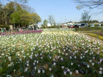 あけぼの山農業公園5