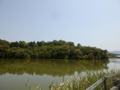 奈良市郊外サイクリング8