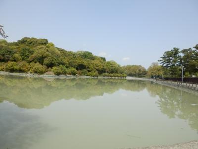 奈良市郊外サイクリング9