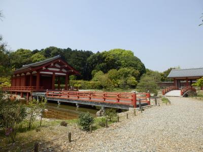 奈良市郊外サイクリング24