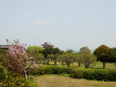 奈良市郊外サイクリング34