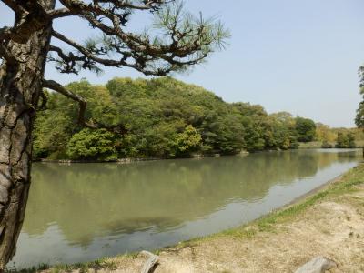 奈良市郊外サイクリング35