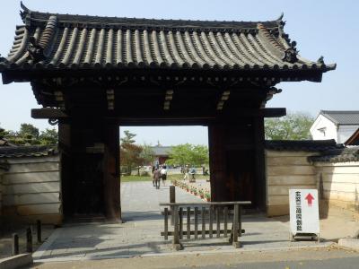 奈良市郊外サイクリング44