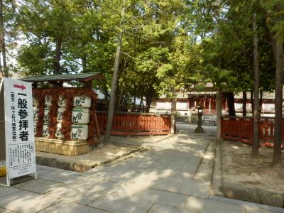 奈良市郊外サイクリング50