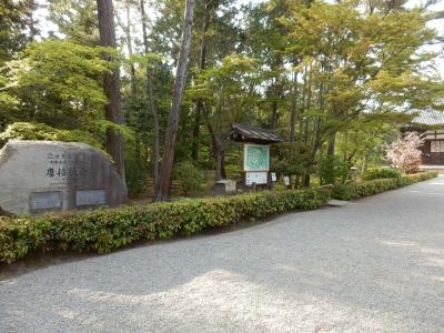 奈良市郊外サイクリング51