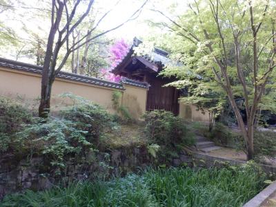 奈良市郊外サイクリング55
