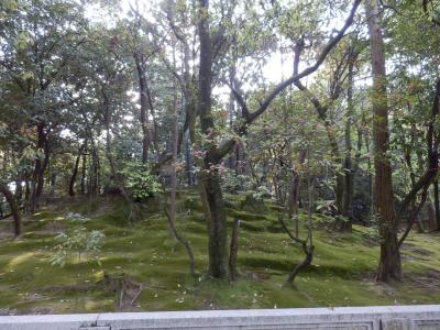 奈良市郊外サイクリング60