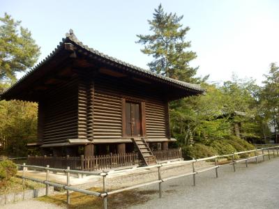 奈良市郊外サイクリング53