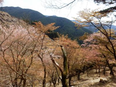 奈良・吉野の散策14