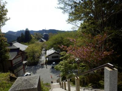 奈良・吉野の散策95