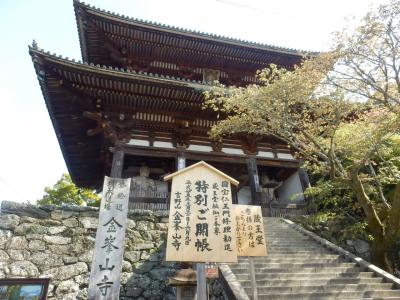 奈良・吉野の散策97