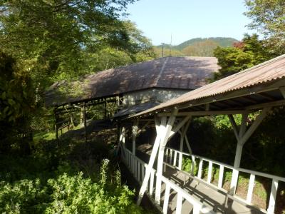 奈良・吉野の散策101