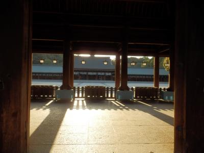 橿原神宮10