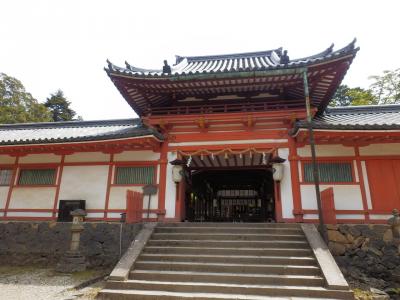 奈良公園4