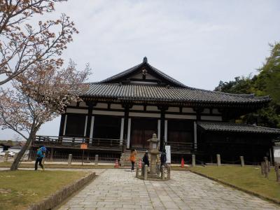 奈良公園5