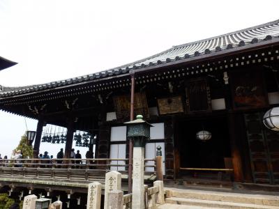 奈良公園6