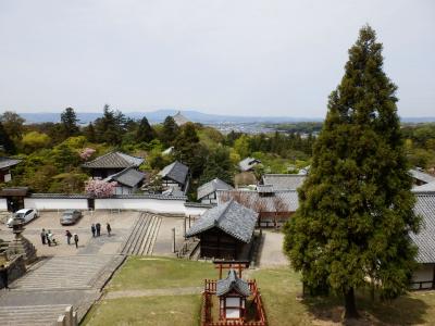奈良公園9