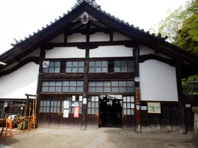 奈良公園10