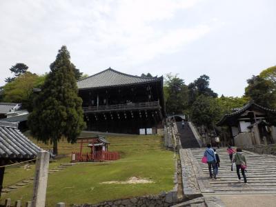 奈良公園8