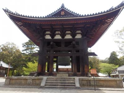 奈良公園12