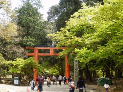 奈良公園13