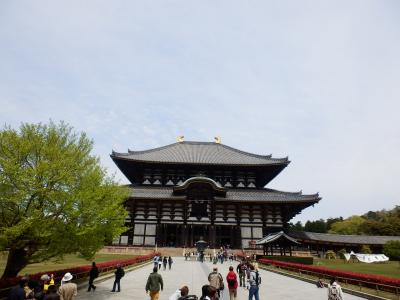 奈良公園14