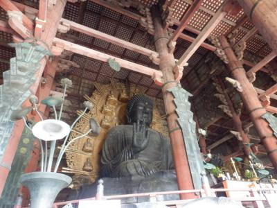 奈良公園15