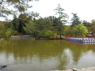 奈良公園21