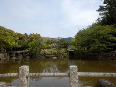 奈良公園26
