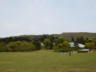 奈良公園28