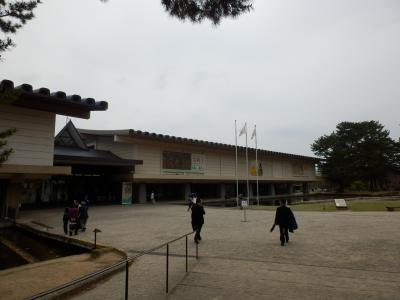奈良公園30