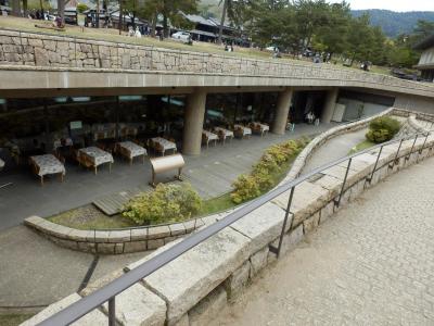 奈良公園31