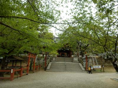 奈良公園34