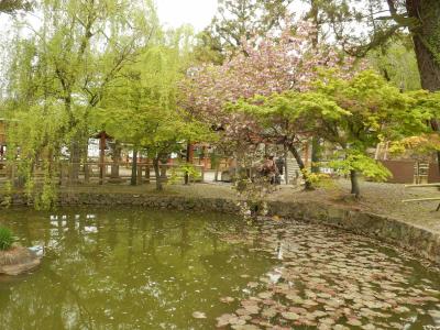 奈良公園35