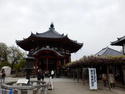 奈良公園37