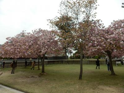 奈良公園38