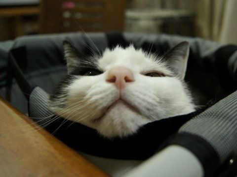 そのまま寝るの?!