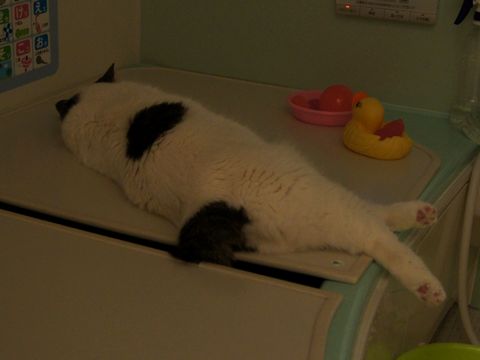 一人くつろぎ~