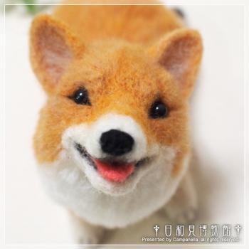 130509c.jpg