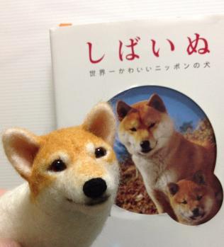image_20130418191330.jpg