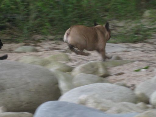IMG_1830_512.jpg
