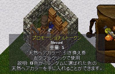 e9.jpg