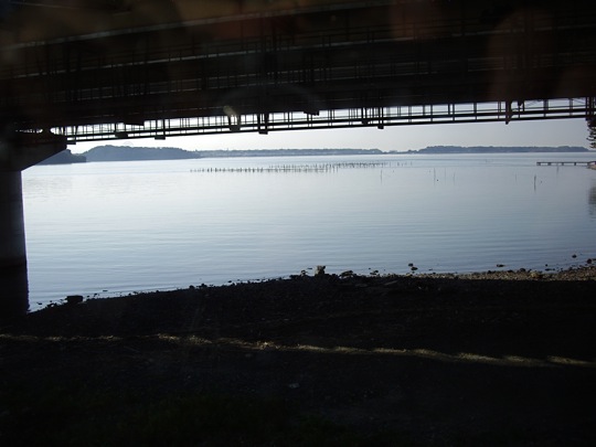IMGP0295.jpg