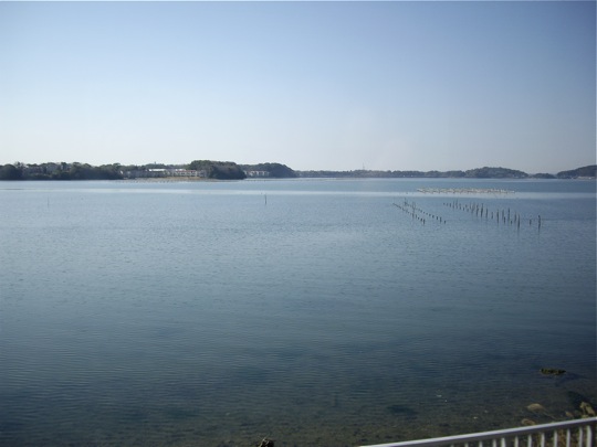 IMGP0305.jpg