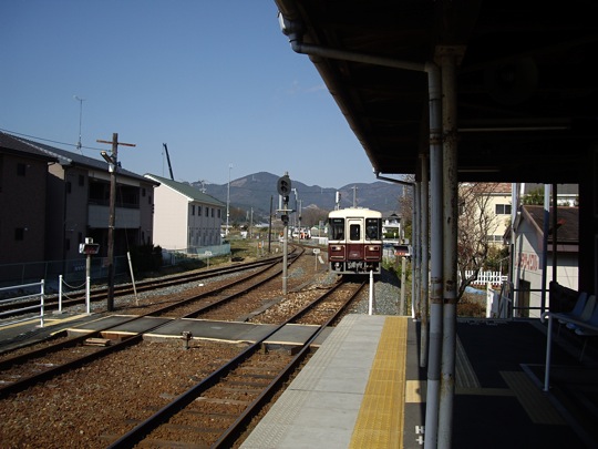 IMGP0367.jpg